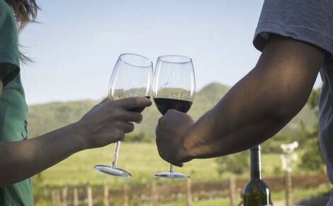 Camino del Vino cordobés: más de 20 bodegas para recorrer y disfrutar en toda la provincia