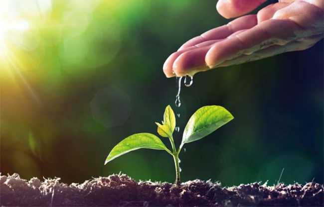 Fertiglobal Italia punta sull’Argentina con soluzioni biostimolanti innovative • Agroverdad